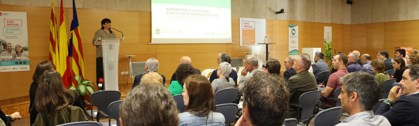 2 millones de inversión para la mejora de los polígonos de actividad económica de Gavà